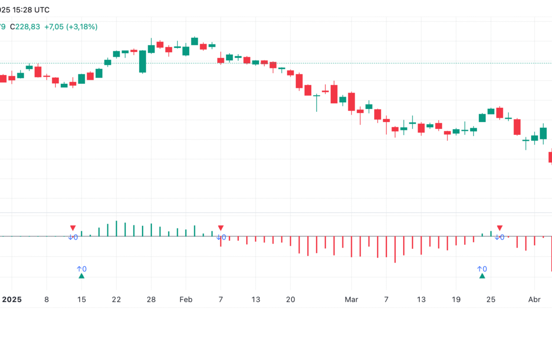 Elder’s Force Index (EFI)
