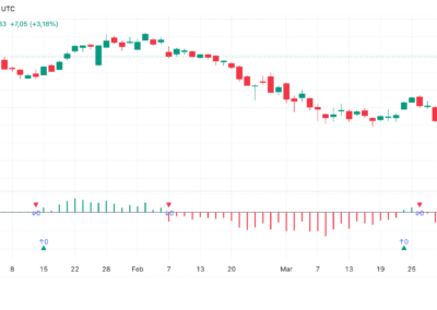 Elder’s Force Index (EFI)